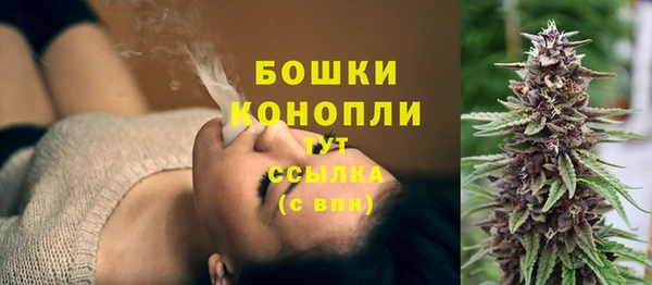 гидра Касимов
